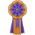 2nd Place Annual Faction Brawl Ribbon