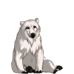Bear (Polar)