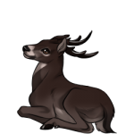 Deer (Melanistic)