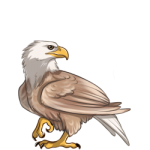 Eagle (Leucistic)