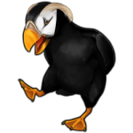 Puffin (Tufted)