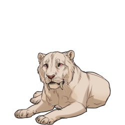Pygmy Cave Lion