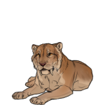 Pygmy Cave Lion (Common)