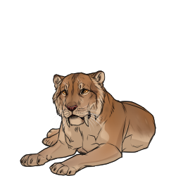 Pygmy Cave Lion