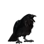 Raven (Black)