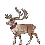 Reindeer (Comet)