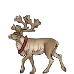 Reindeer (Prancer)