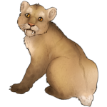 Smilodon Cub