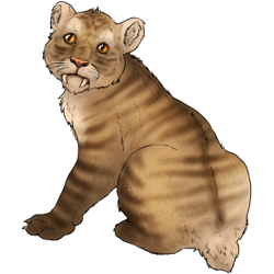Smilodon Cub