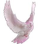 Spirit Dove