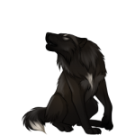 Wolf (Black)